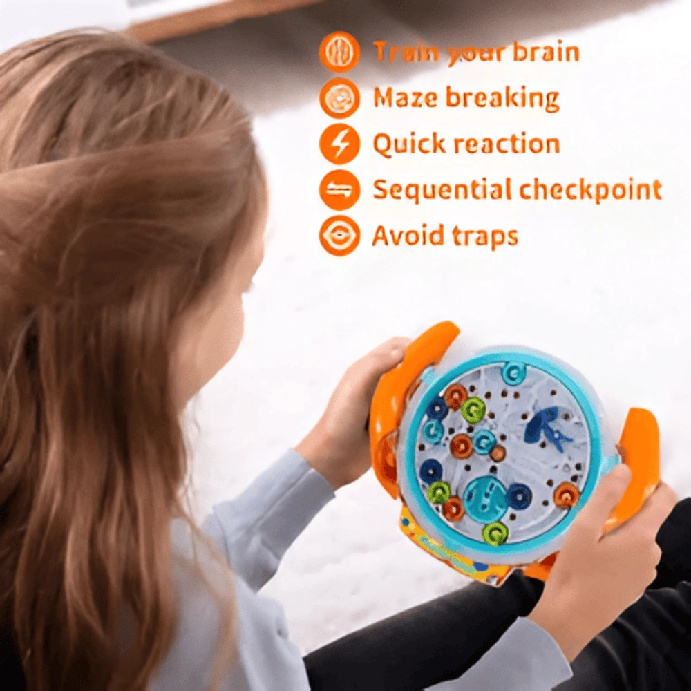 Maze Disk Puzzle