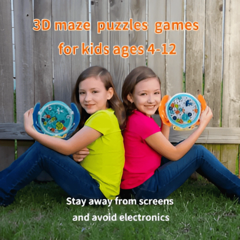 Maze Disk Puzzle - Image 2